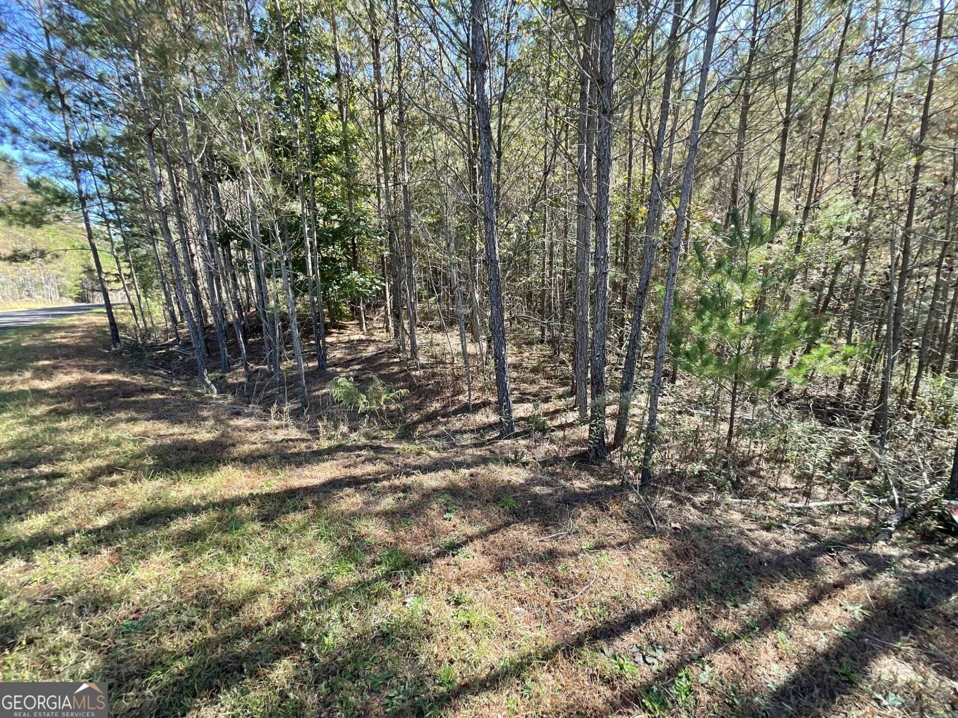 0 Eastview Trail Ellijay GA 30536