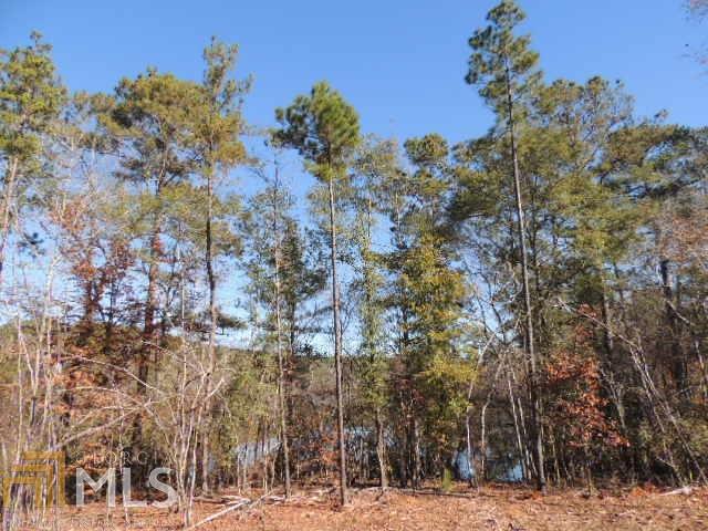 0 Mountain Drive Hamilton GA 31811