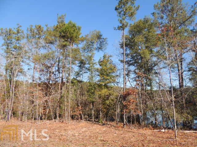 0 Mountain Drive Hamilton GA 31811