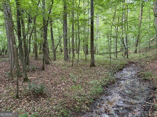 5741 Five Notch Trail Douglasville GA 30135