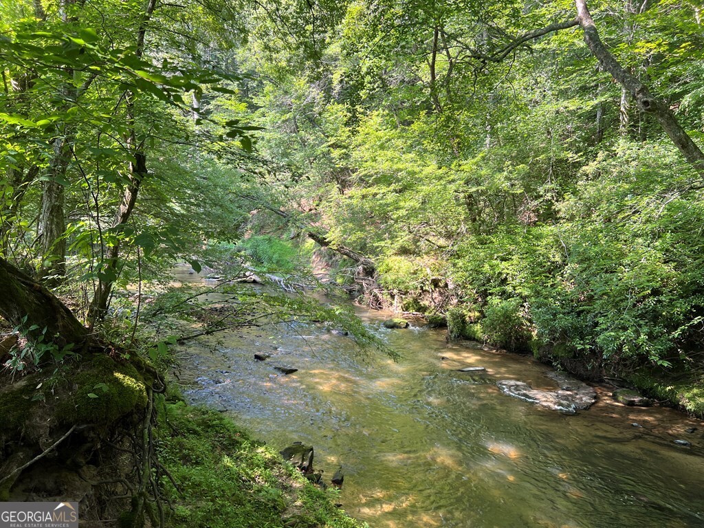 Lot 8 Old Birch Bend Blairsville GA 30512