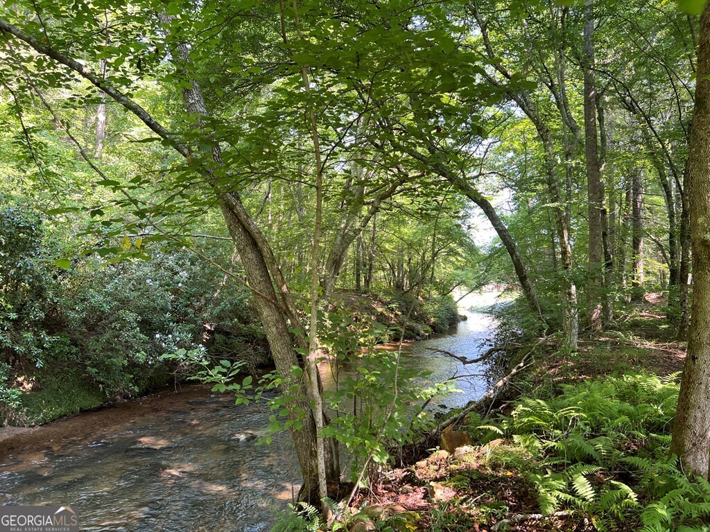 Lot 8 Old Birch Bend Blairsville GA 30512