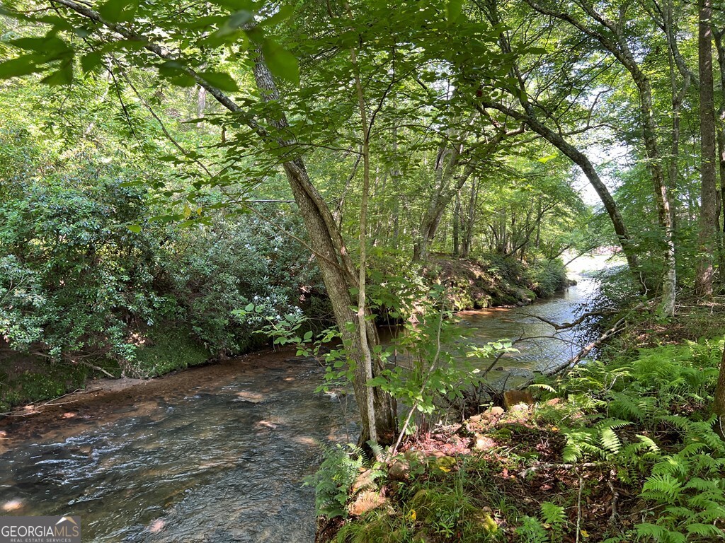 Lot 8 Old Birch Bend Blairsville GA 30512