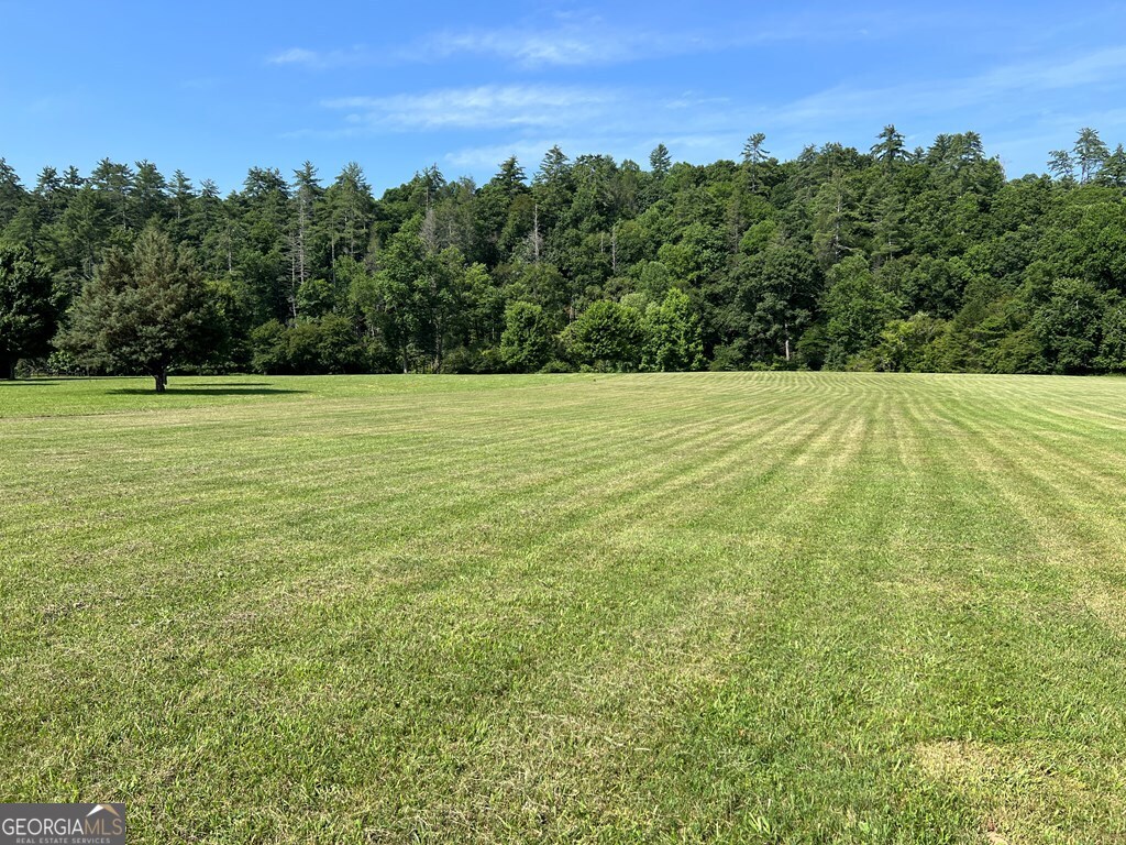 Lot 8 Old Birch Bend Blairsville GA 30512