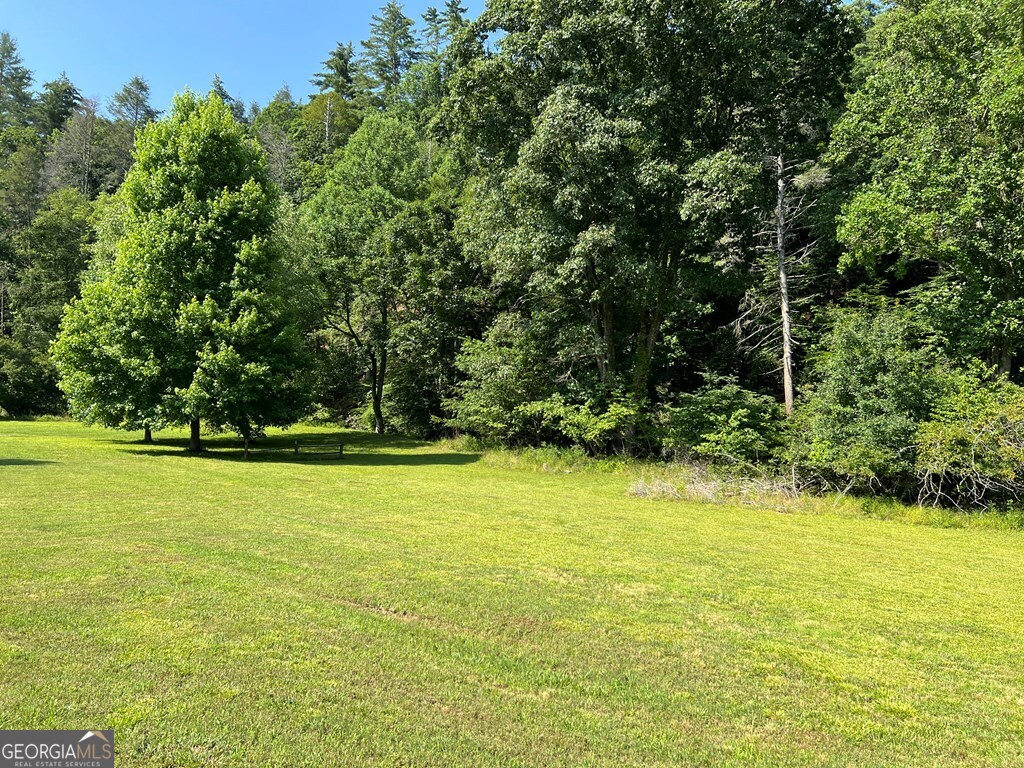 Lot 8 Old Birch Bend Blairsville GA 30512