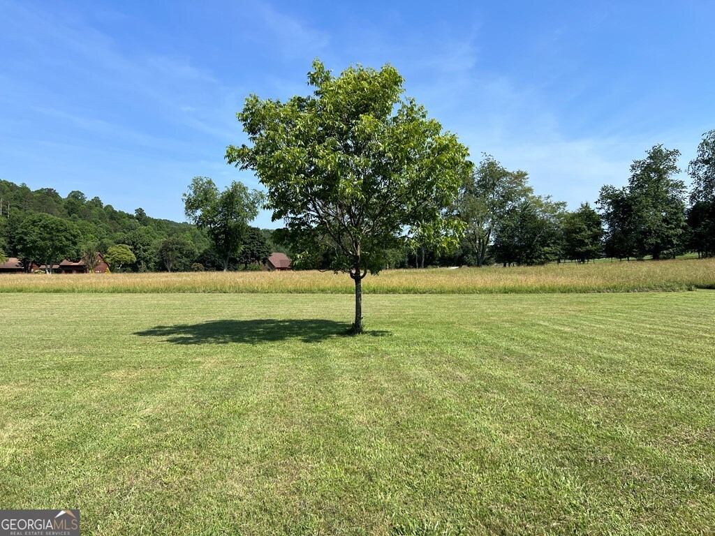 Lot 8 Old Birch Bend Blairsville GA 30512