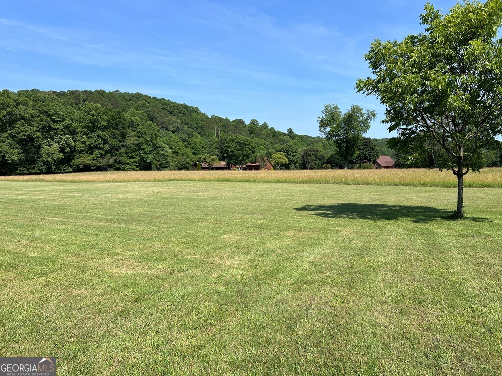 Lot 8 Old Birch Bend Blairsville GA 30512