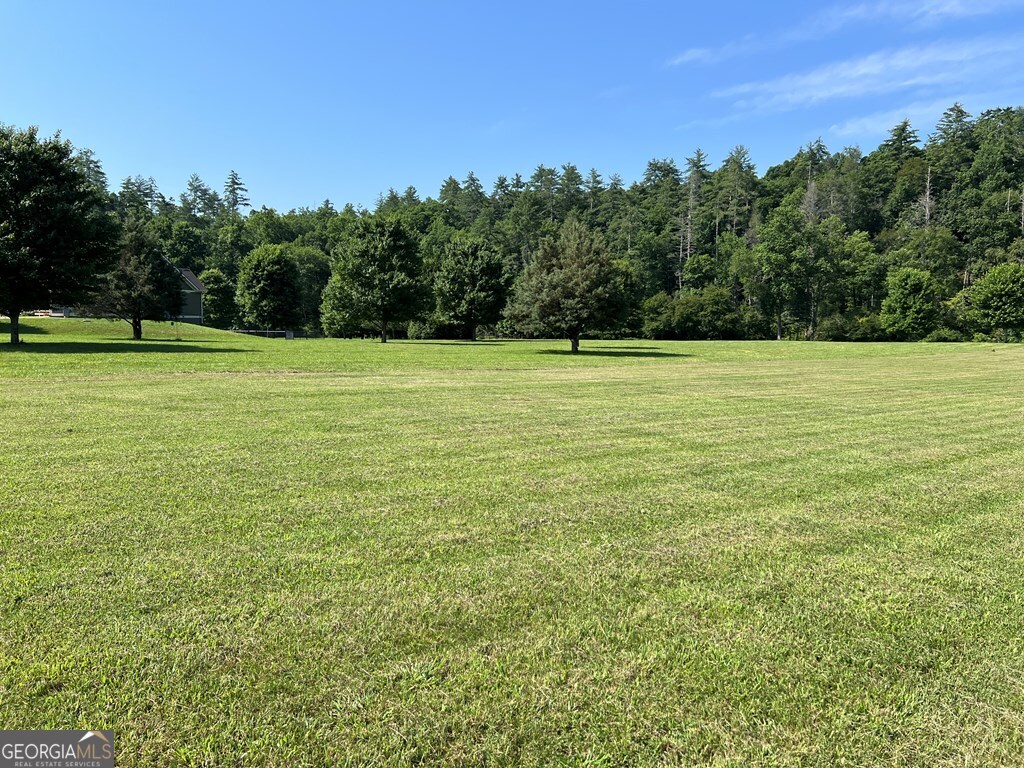 Lot 8 Old Birch Bend Blairsville GA 30512
