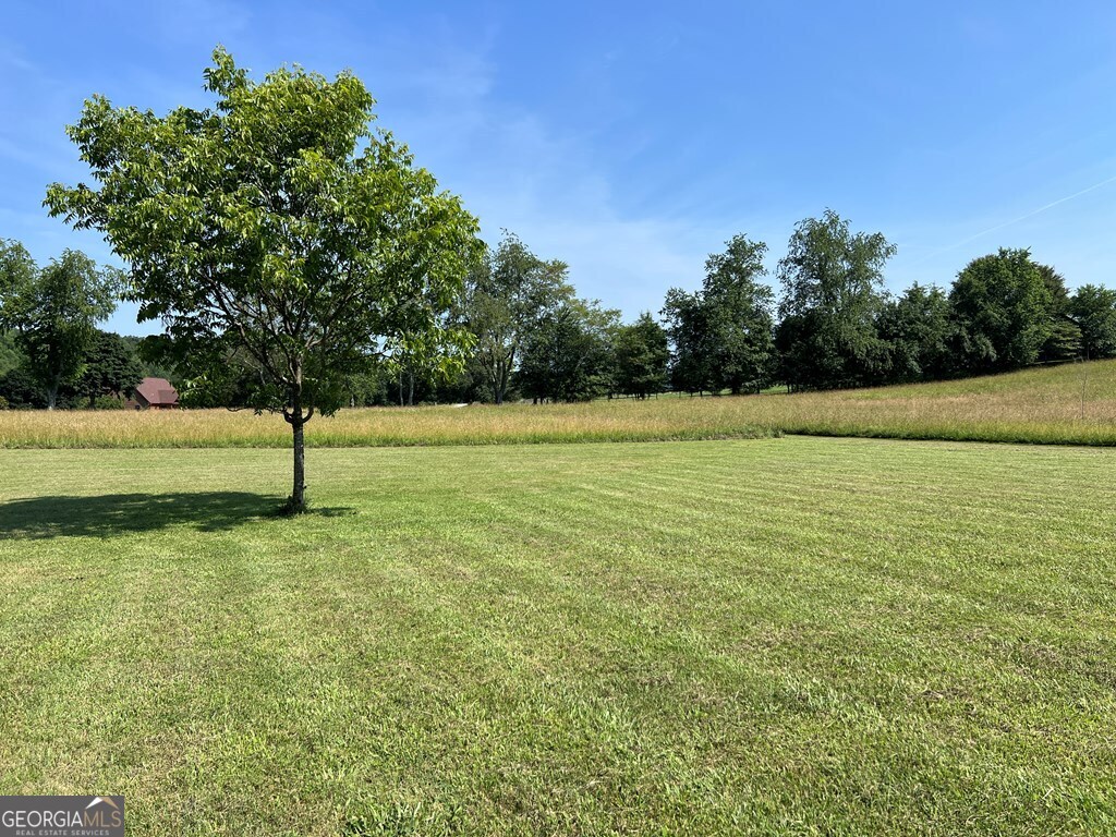 Lot 8 Old Birch Bend Blairsville GA 30512