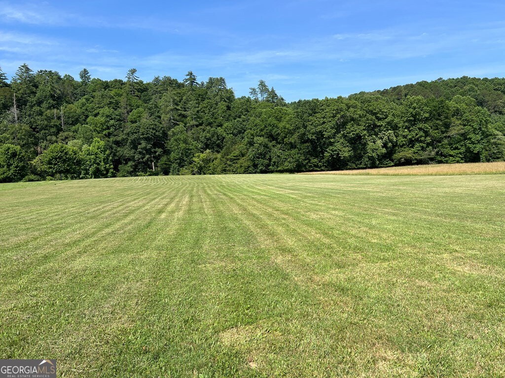 Lot 8 Old Birch Bend Blairsville GA 30512