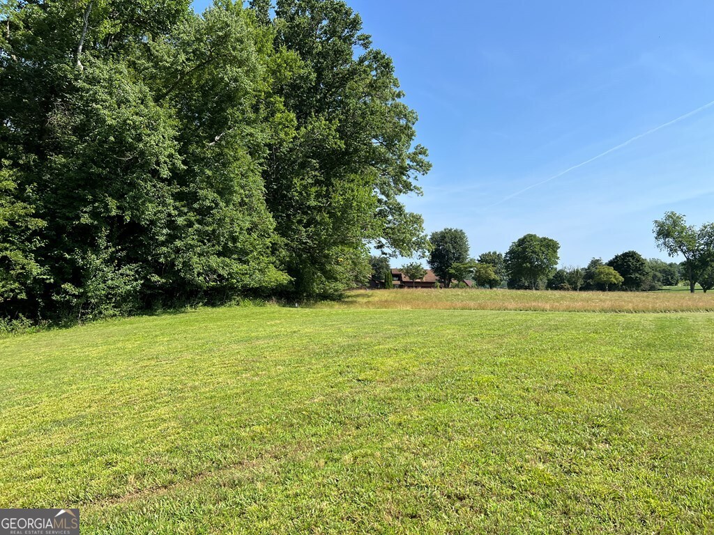Lot 8 Old Birch Bend Blairsville GA 30512