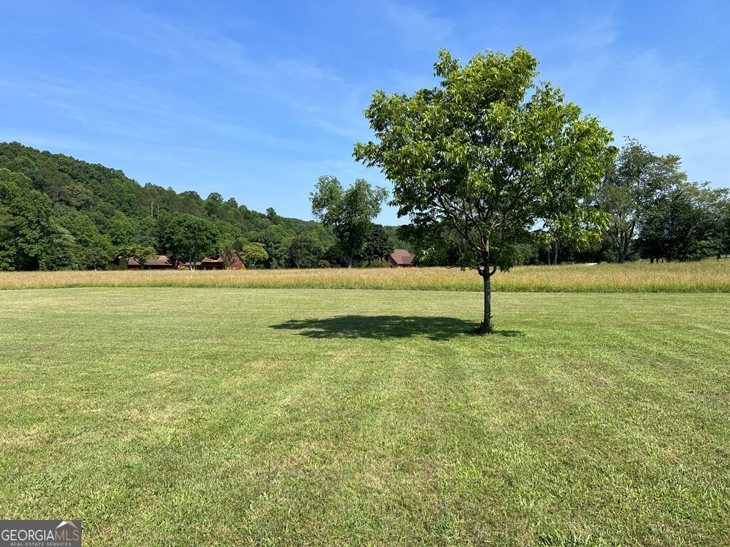 Lot 8 Old Birch Bend Blairsville GA 30512