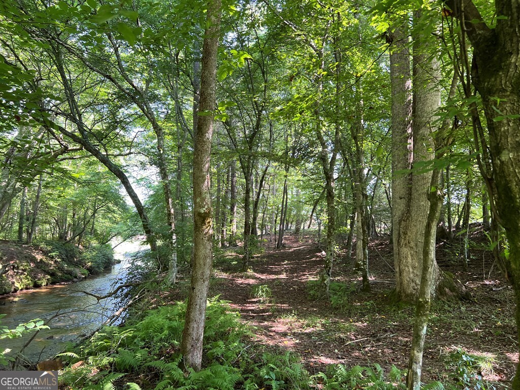 Lot 8 Old Birch Bend Blairsville GA 30512