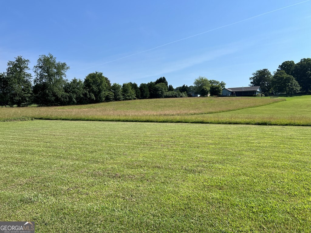 Lot 8 Old Birch Bend Blairsville GA 30512