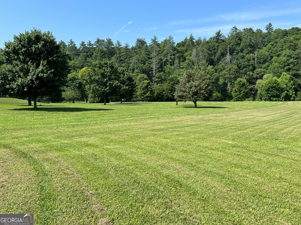 Lot 8 Old Birch Bend Blairsville GA 30512