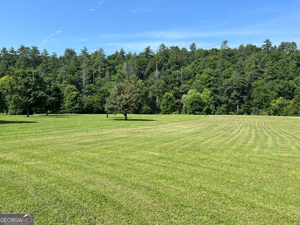 Lot 8 Old Birch Bend Blairsville GA 30512