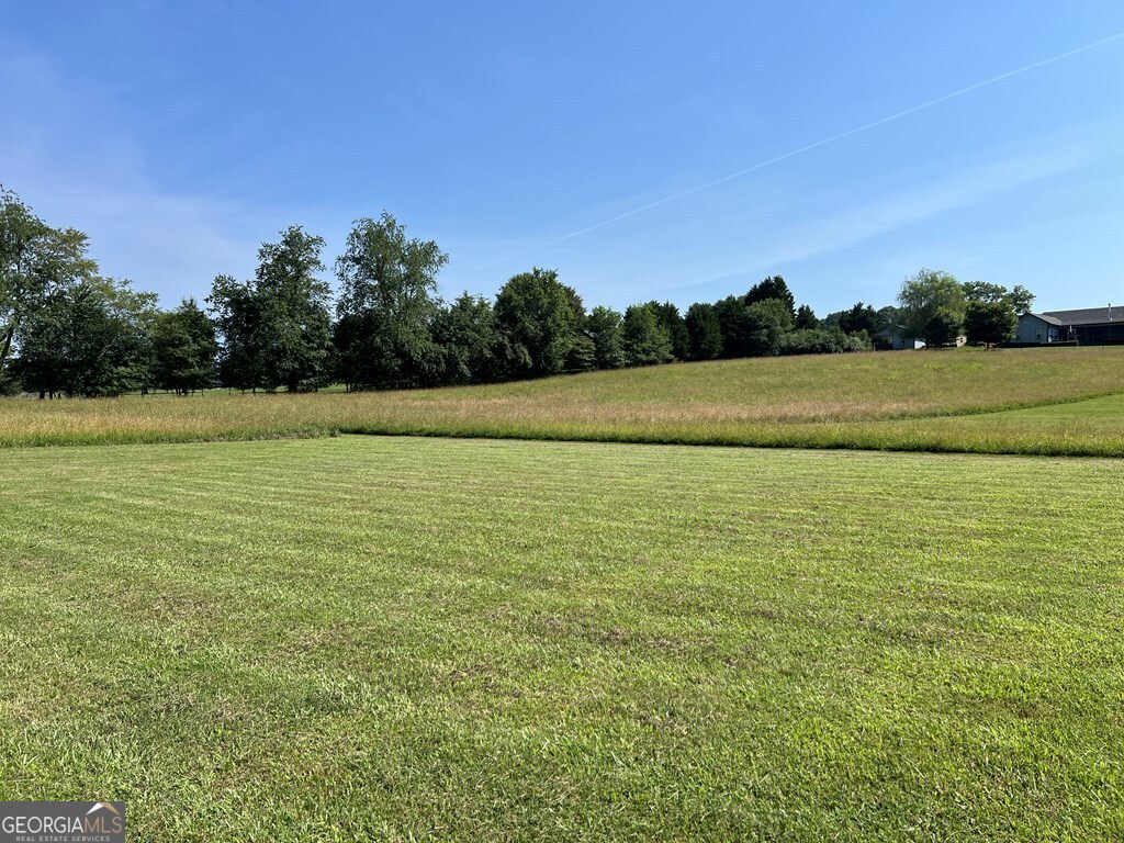 Lot 8 Old Birch Bend Blairsville GA 30512