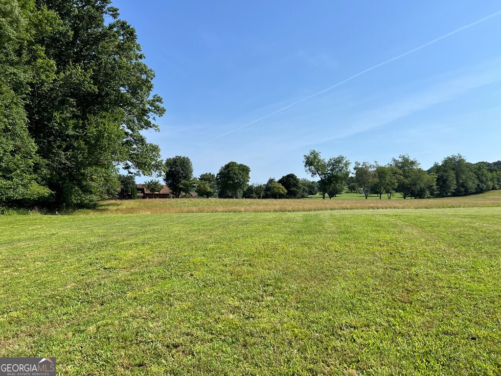Lot 8 Old Birch Bend Blairsville GA 30512