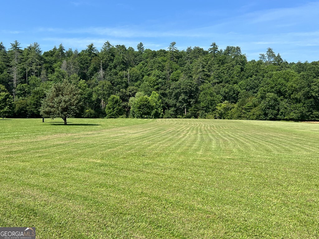 Lot 8 Old Birch Bend Blairsville GA 30512