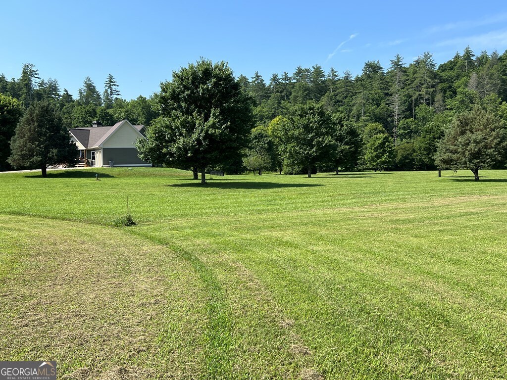 Lot 8 Old Birch Bend Blairsville GA 30512