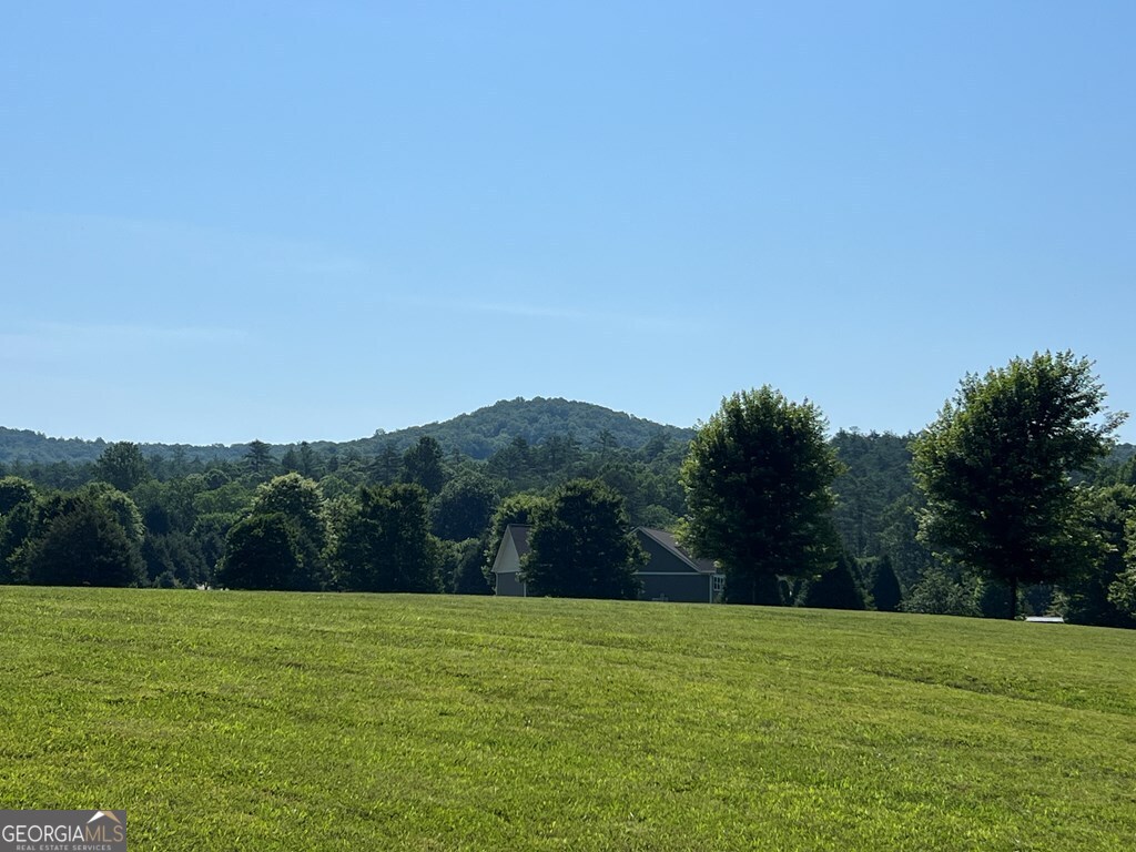 Lot 8 Old Birch Bend Blairsville GA 30512