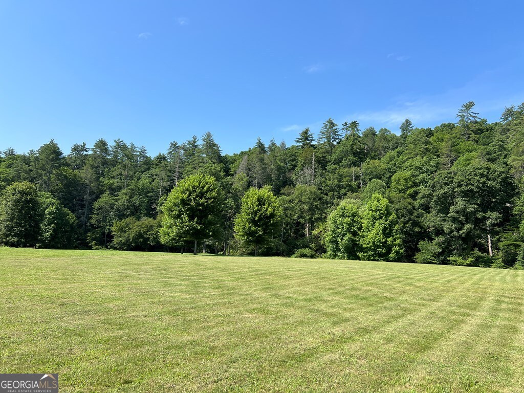 Lot 8 Old Birch Bend Blairsville GA 30512