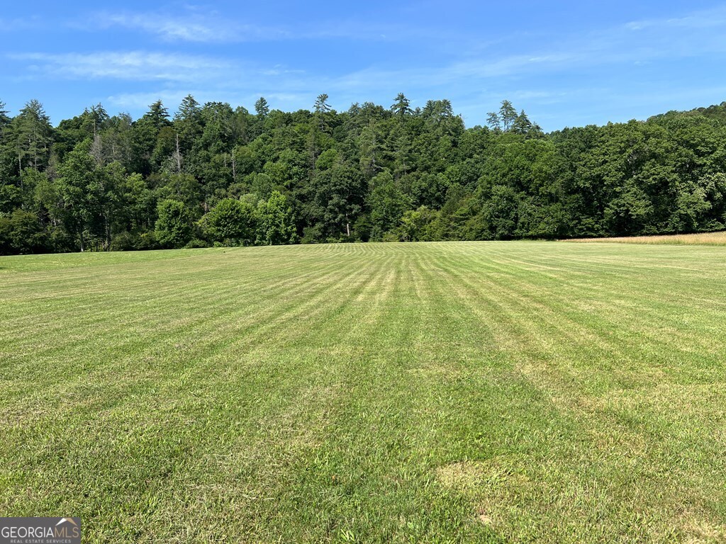 Lot 8 Old Birch Bend Blairsville GA 30512