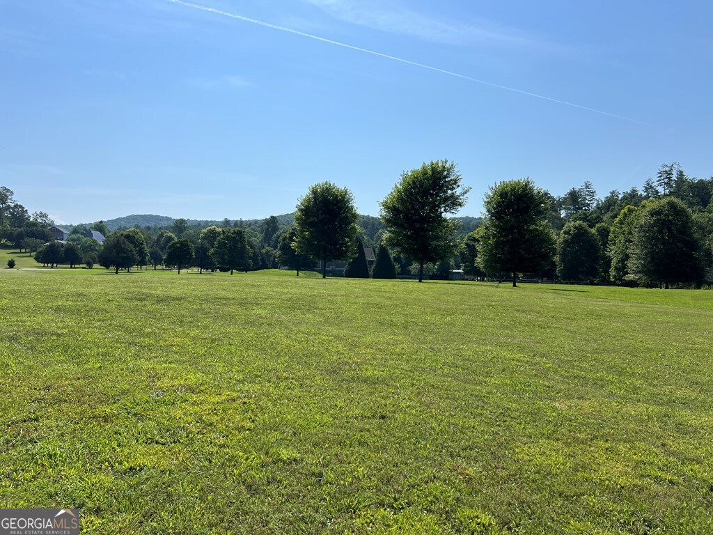 Lot 8 Old Birch Bend Blairsville GA 30512