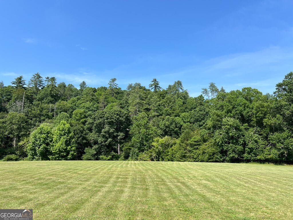 Lot 8 Old Birch Bend Blairsville GA 30512