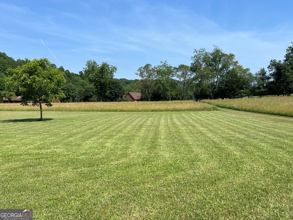 Lot 8 Old Birch Bend Blairsville GA 30512
