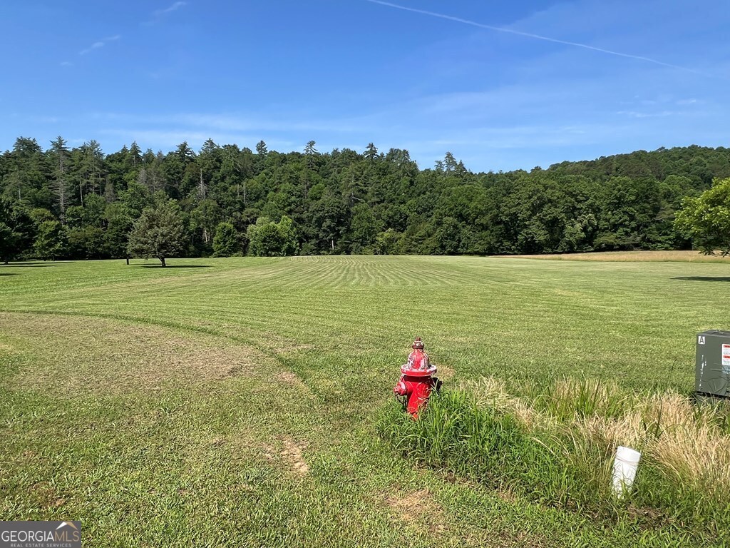 Lot 8 Old Birch Bend Blairsville GA 30512