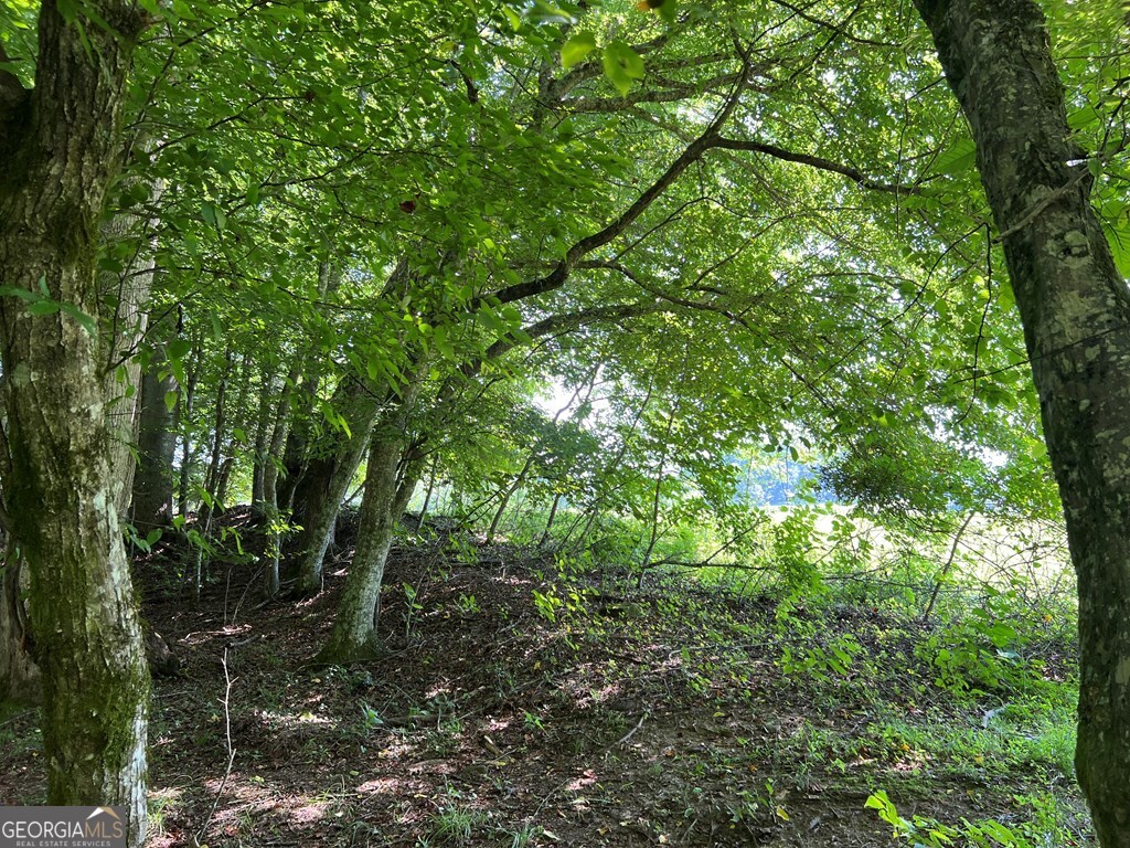 Lot 8 Old Birch Bend Blairsville GA 30512