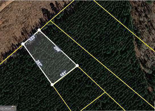 0 Lower Mill Road Crawfordville GA 30631