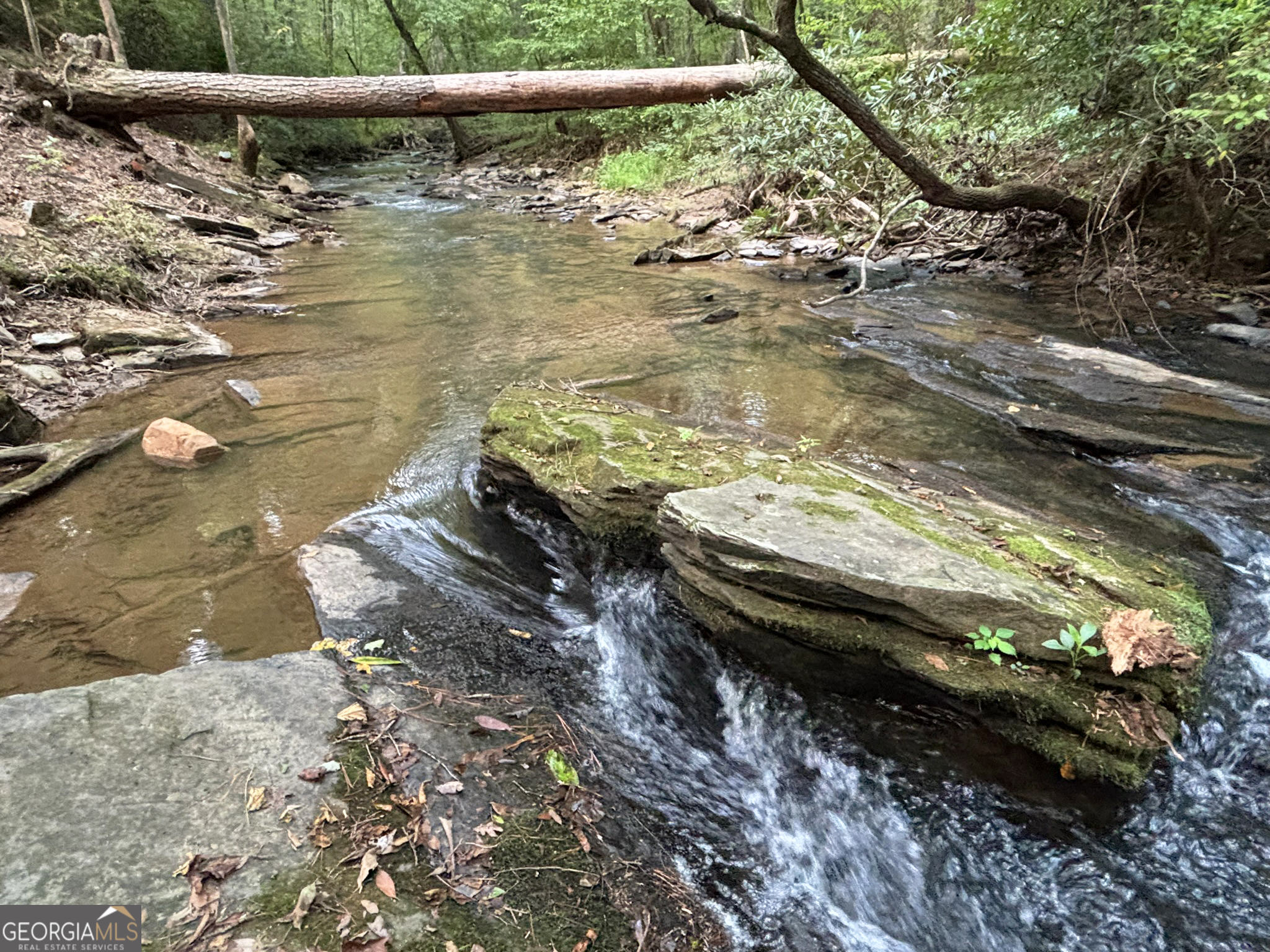 396 Mt Springer Road Ellijay GA 30540