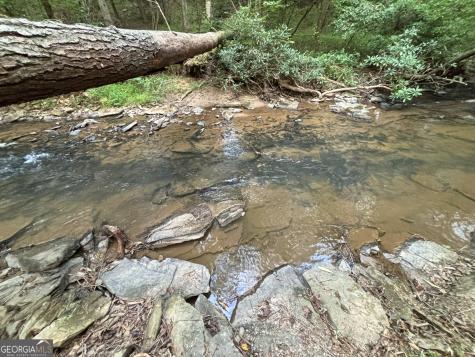396 Mt Springer Road Ellijay GA 30540