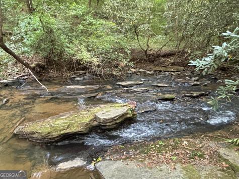396 Mt Springer Road Ellijay GA 30540