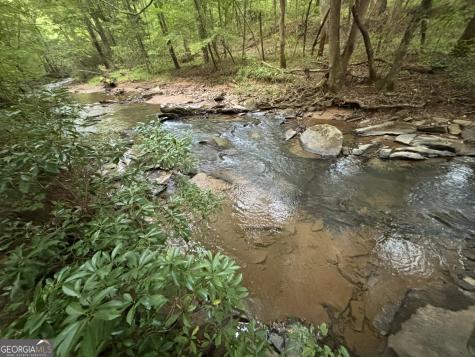 396 Mt Springer Road Ellijay GA 30540