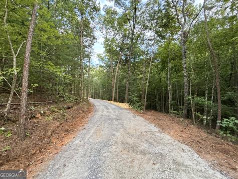 396 Mt Springer Road Ellijay GA 30540