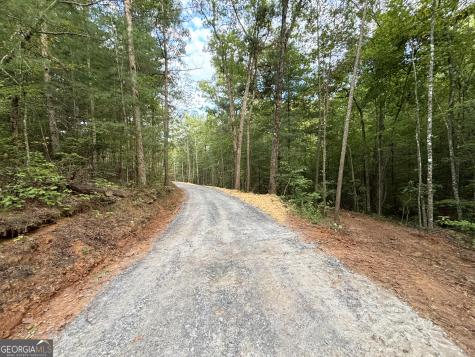 396 Mt Springer Road Ellijay GA 30540
