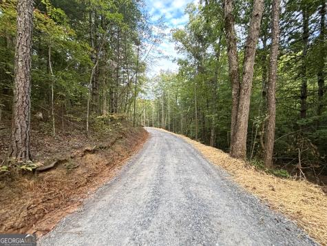 396 Mt Springer Road Ellijay GA 30540