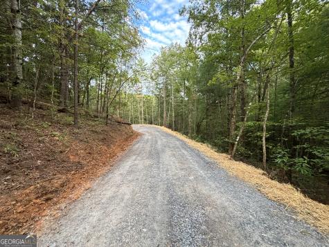 396 Mt Springer Road Ellijay GA 30540