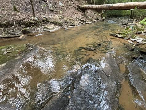 396 Mt Springer Road Ellijay GA 30540