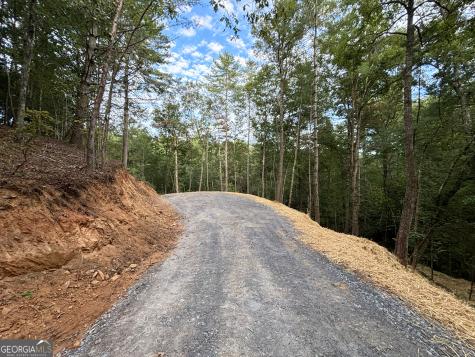 396 Mt Springer Road Ellijay GA 30540