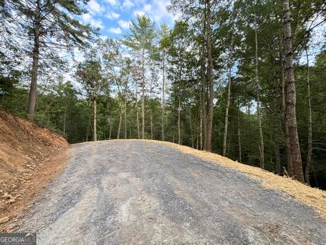 396 Mt Springer Road Ellijay GA 30540