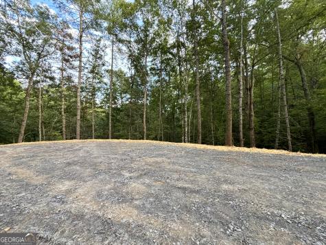 396 Mt Springer Road Ellijay GA 30540