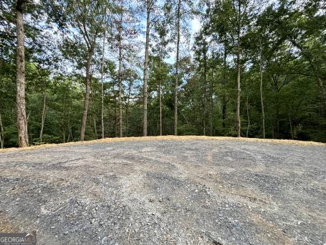 396 Mt Springer Road Ellijay GA 30540