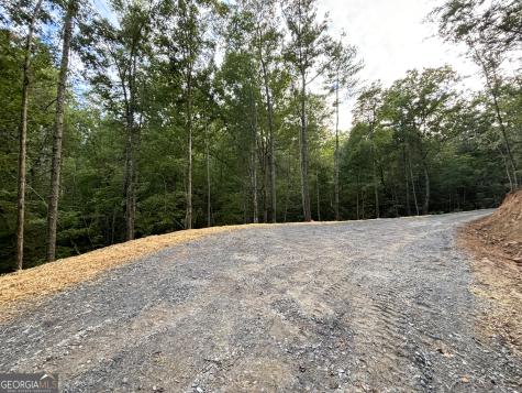 396 Mt Springer Road Ellijay GA 30540