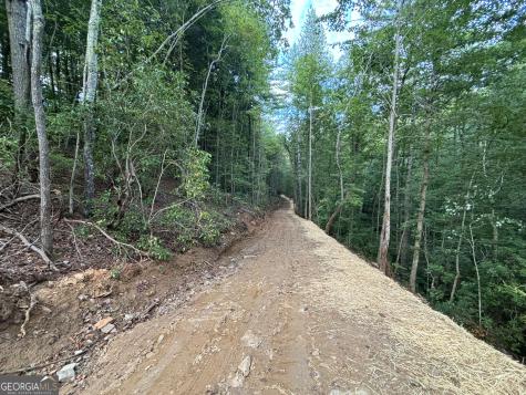 396 Mt Springer Road Ellijay GA 30540