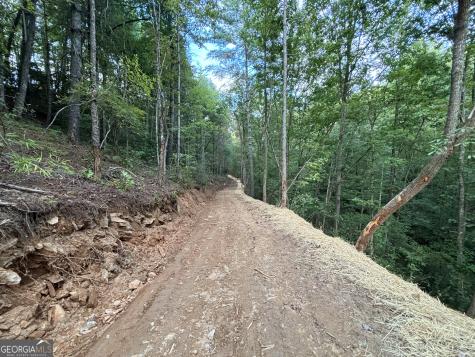 396 Mt Springer Road Ellijay GA 30540