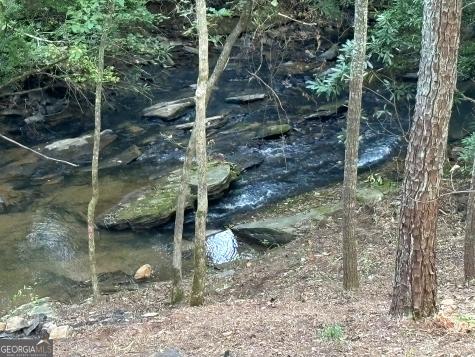 396 Mt Springer Road Ellijay GA 30540
